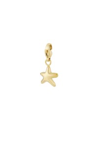 Goldfarbener POSH by Poelman Schuh-Charm mit Stern