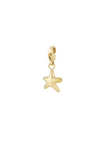 Goudkleurige POSH by Poelman shoe charm met ster