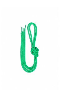 Long green shoelace on a white background.