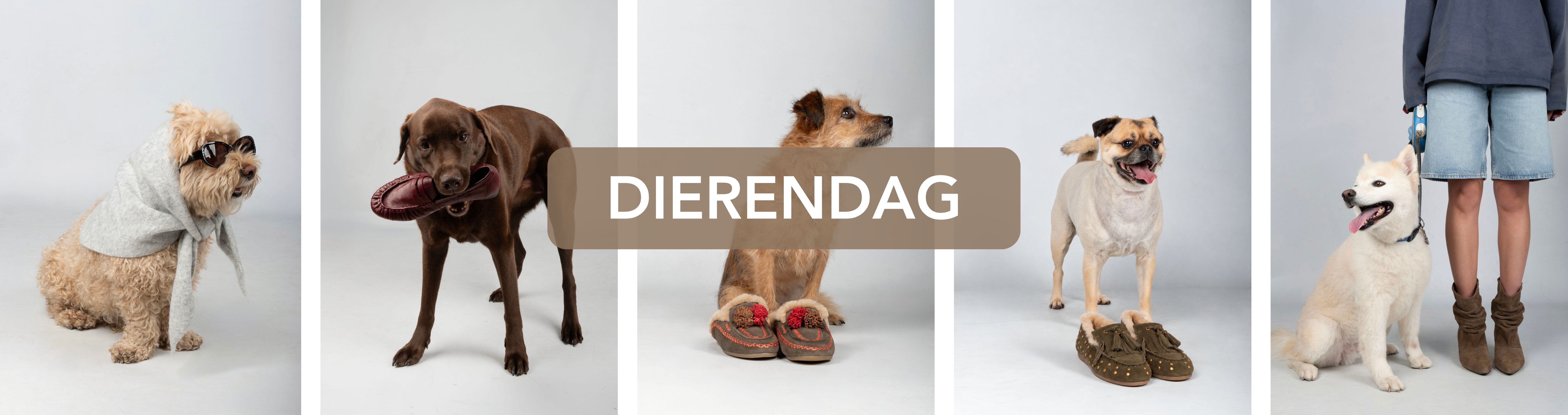 dierendag%20nl.jpg